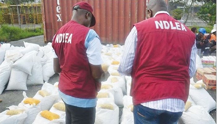 Drug abuse now common among high profile Nigerians, NDLEA Laments