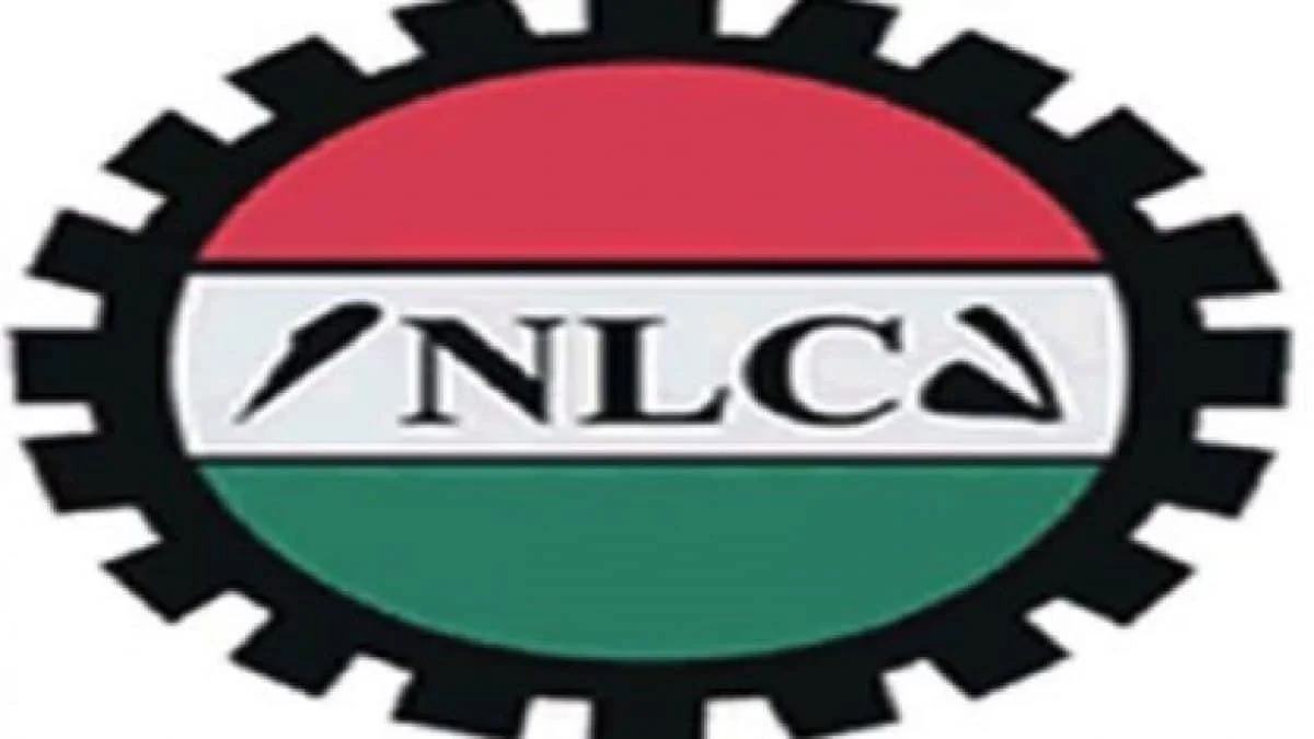 NLC threatens one-month shutdown as lawmakers target fresh decision