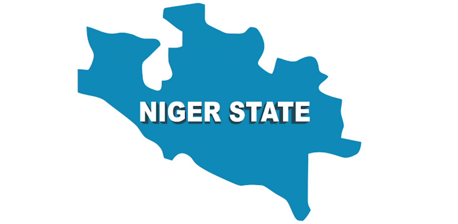 Protest commences in Niger State