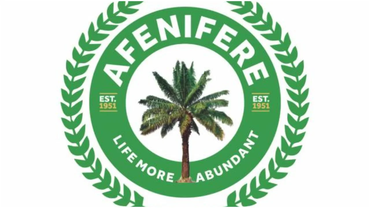 Afenifere makes three new appointments