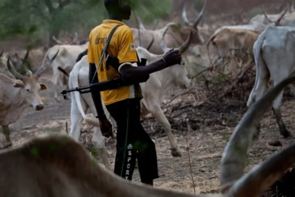 Suspected herders kill teenage farmer in Ondo community